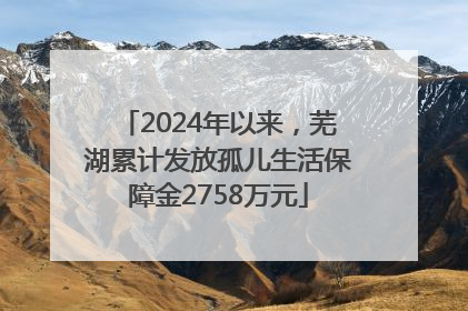2024年以来，芜湖累计发放孤儿生活保障金2758万元