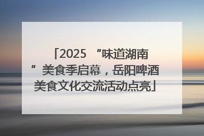 2025 “味道湖南”美食季启幕，岳阳啤酒美食文化交流活动点亮