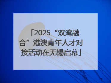 2025“双湾融合”港澳青年人才对接活动在无锡启幕
