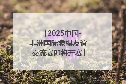 2025中国-非洲国际象棋友谊交流赛即将开赛