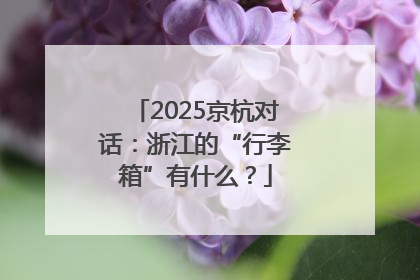 2025京杭对话：浙江的“行李箱”有什么？