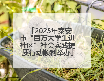 2025年泰安市“百万大学生进社区”社会实践提质行动顺利举办