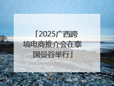 2025广西跨境电商推介会在泰国曼谷举行