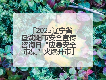 2025辽宁省暨沈阳市安全宣传咨询日“应急安全市集”火爆开市