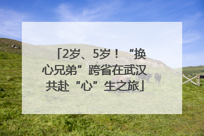 2岁、5岁！“换心兄弟”跨省在武汉共赴“心”生之旅