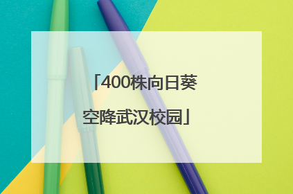 400株向日葵空降武汉校园
