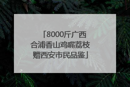 8000斤广西合浦香山鸡嘴荔枝赠西安市民品鉴