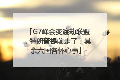 G7峰会变渡劫联盟，特朗普提前走了，其余六国各怀心事