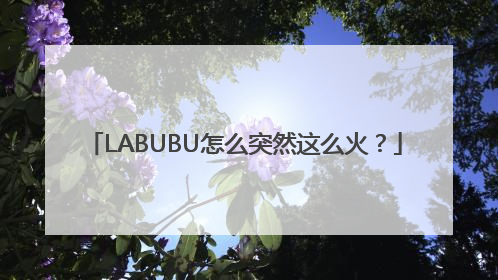 LABUBU怎么突然这么火？
